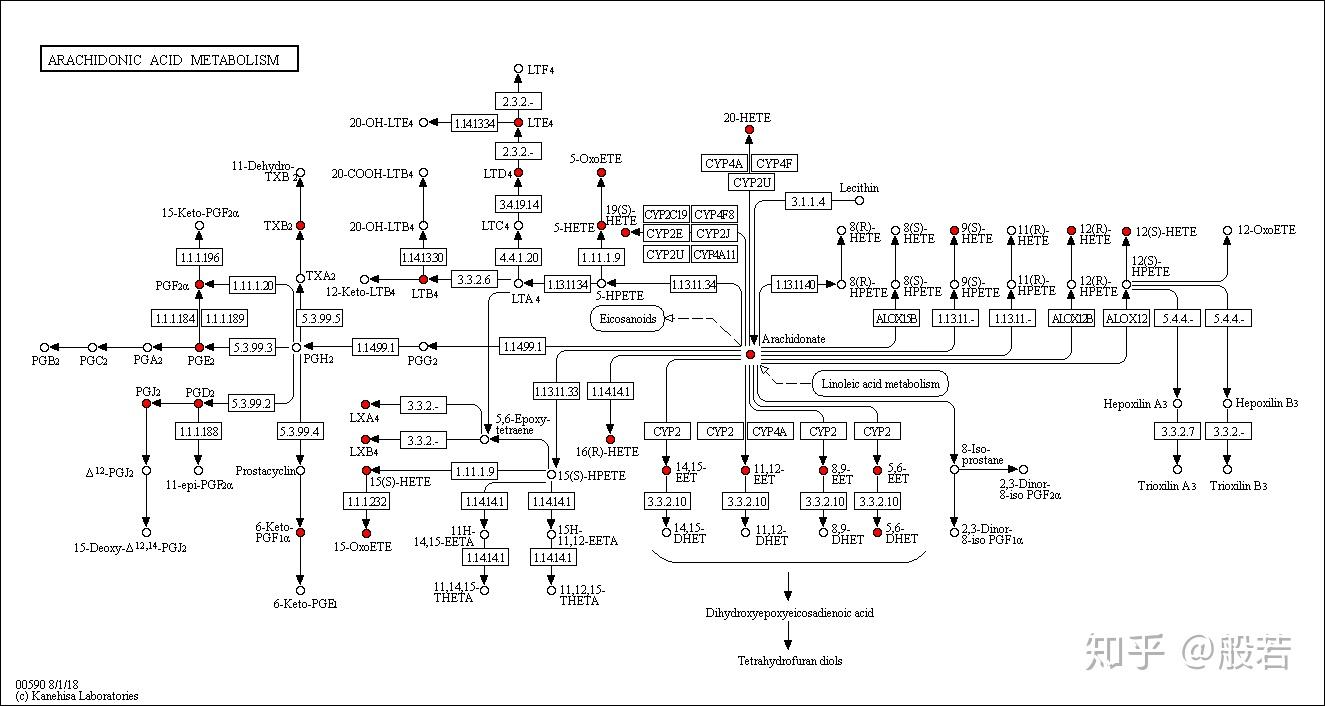 代谢组学发高分文章的科研思路，2-5分？＞5分？＞10分？ - 知乎