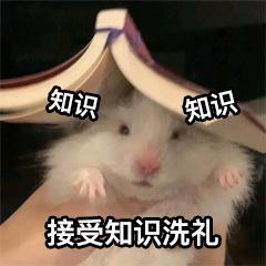 伊贝诗肤肤品怎么样_孕妇保养护肤品_养护品如何提高销量