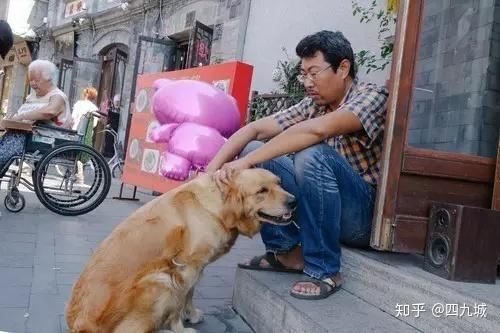 17,狗撵鸭子——呱呱叫.