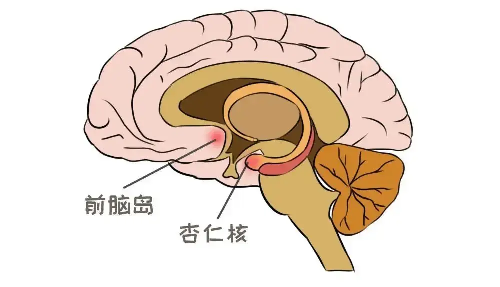不公平厌恶可以被商用比如华为