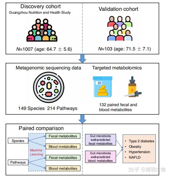 代谢组学研究中粪便和血液代谢组存在不一致关联 - 知乎