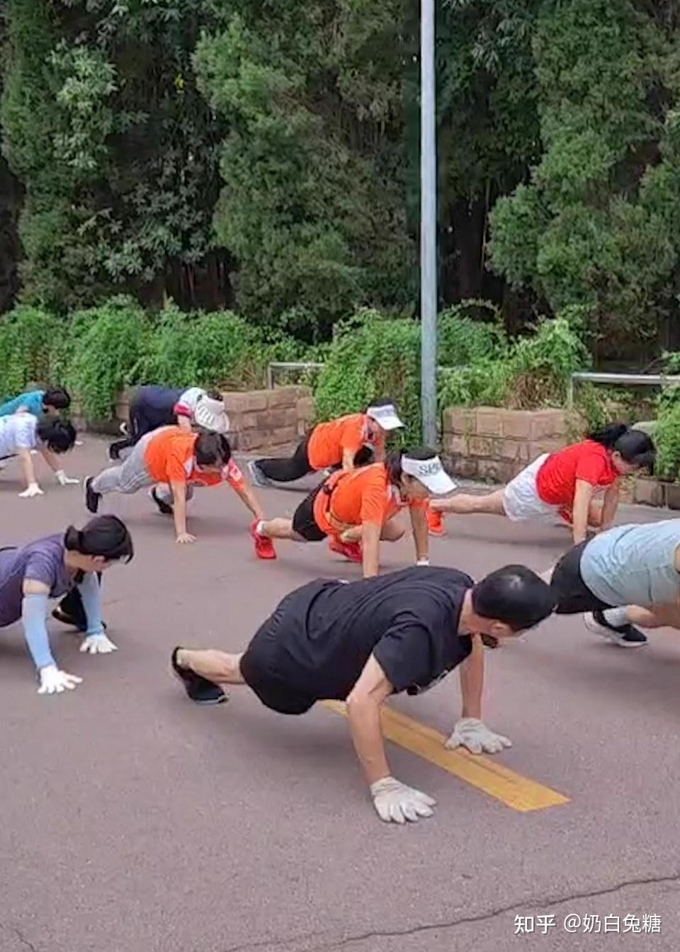 鳄鱼爬你会参加吗