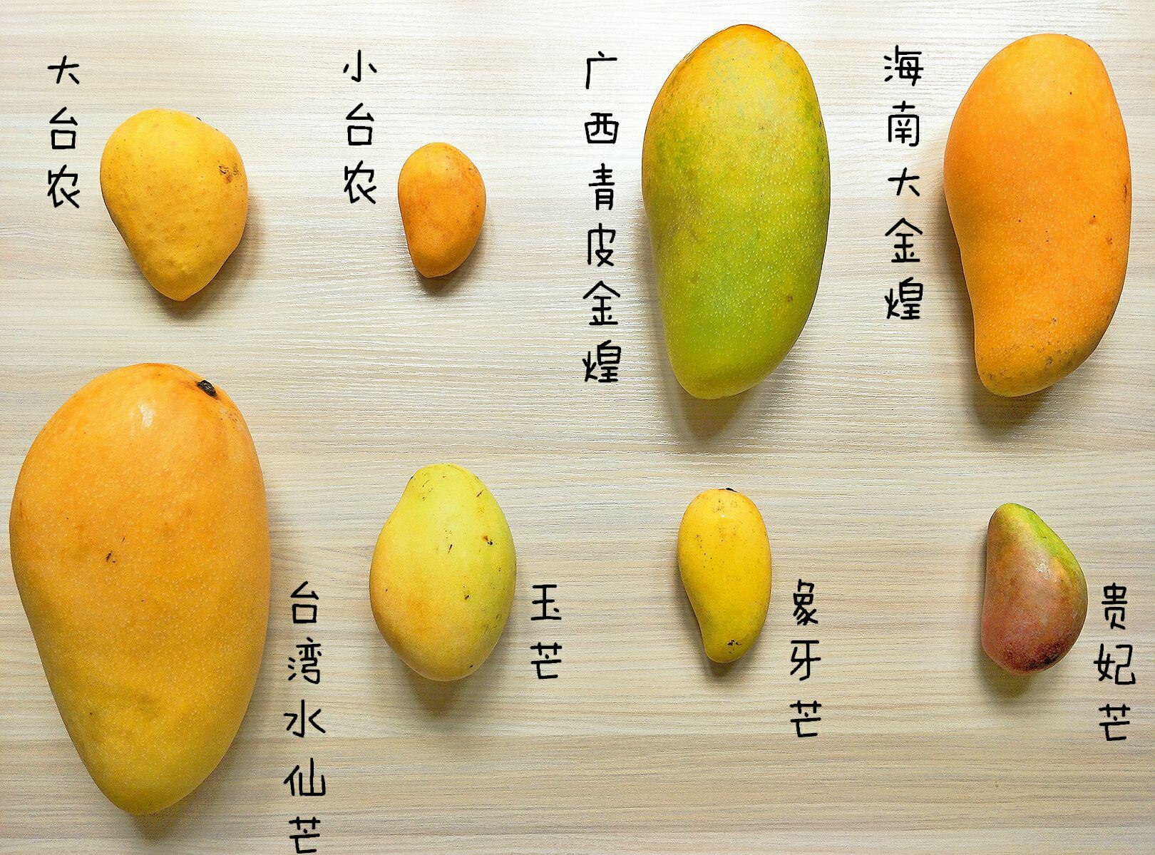 广西芒果大量上市，看看这个芒果品种大全，你最爱吃的是哪一种？|芒果_新浪新闻