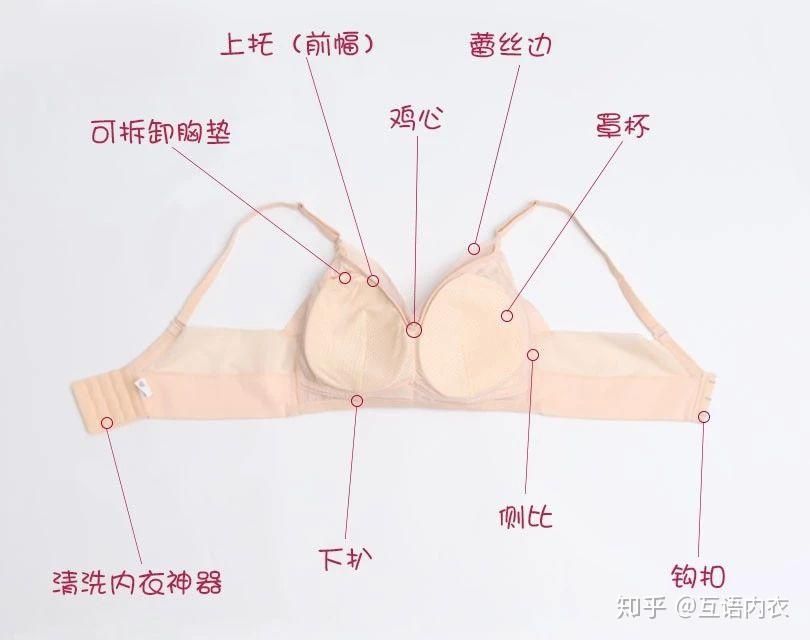 根据内衣结构功能 | 挑选内衣 - 知乎