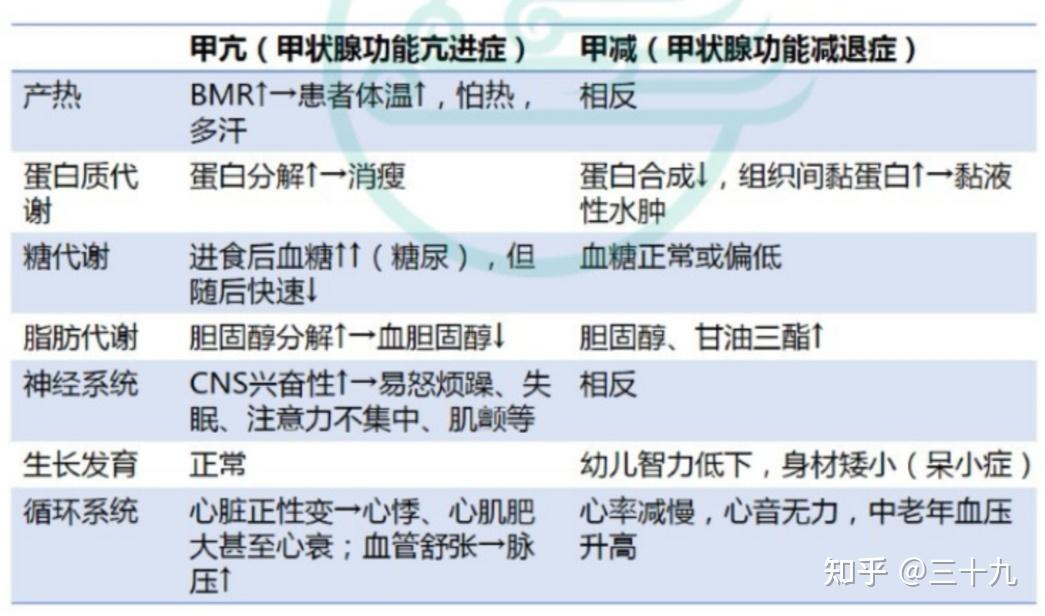 甲状腺素作用图片