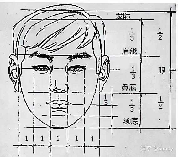 人体五官是指哪五官知乎(人体五官指的是哪些部位)