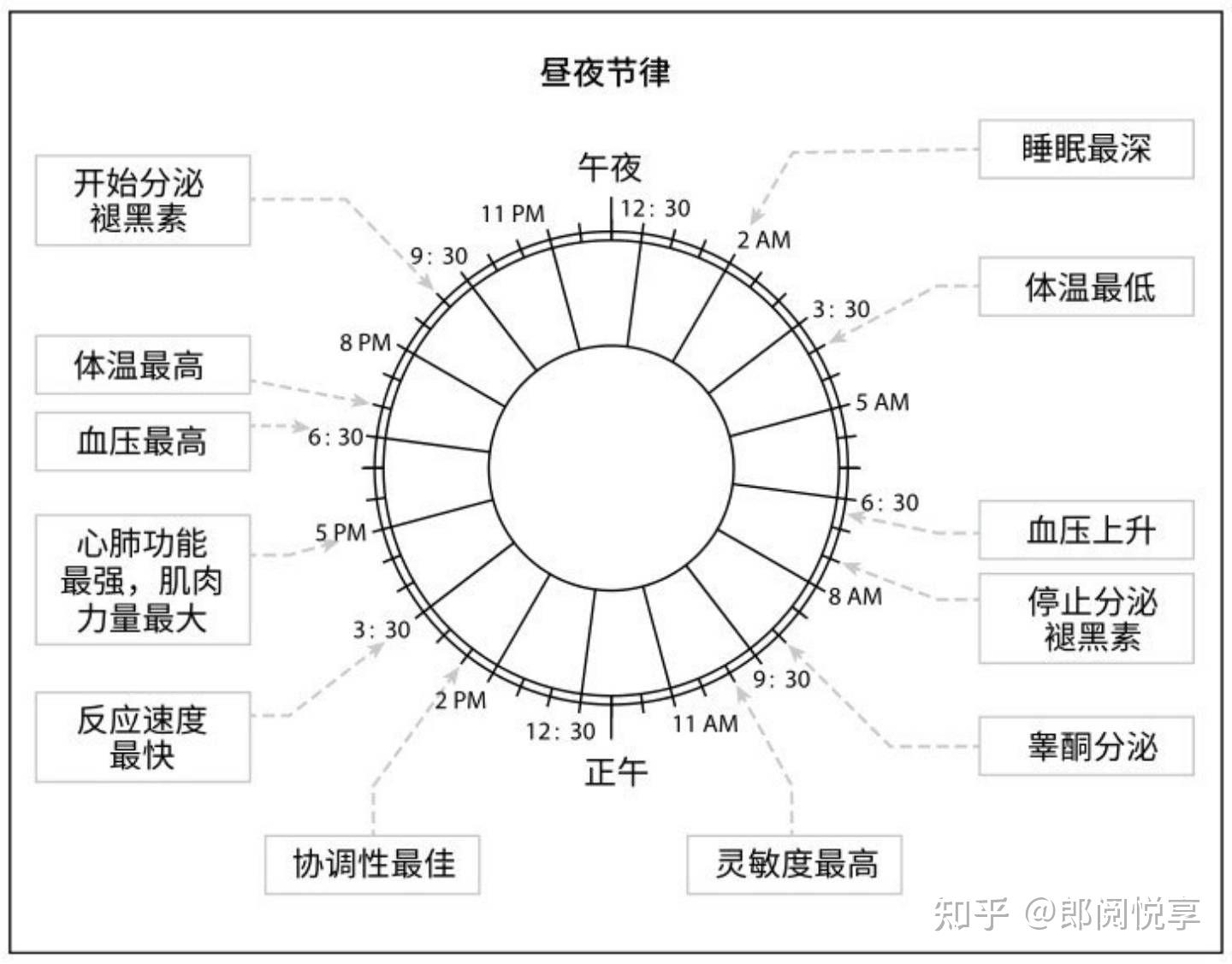 用科学的睡眠方案优化人生效率睡眠革命读书分享