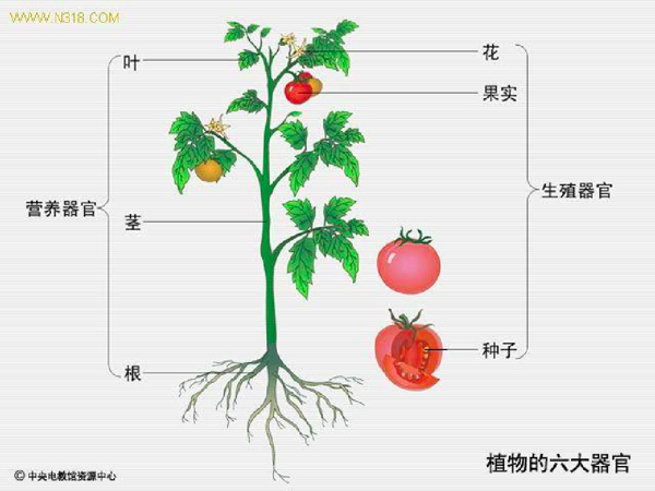 生物高考概念详解(一) - 知乎