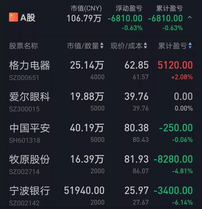 医疗服务行业细分龙头股票爱尔眼科