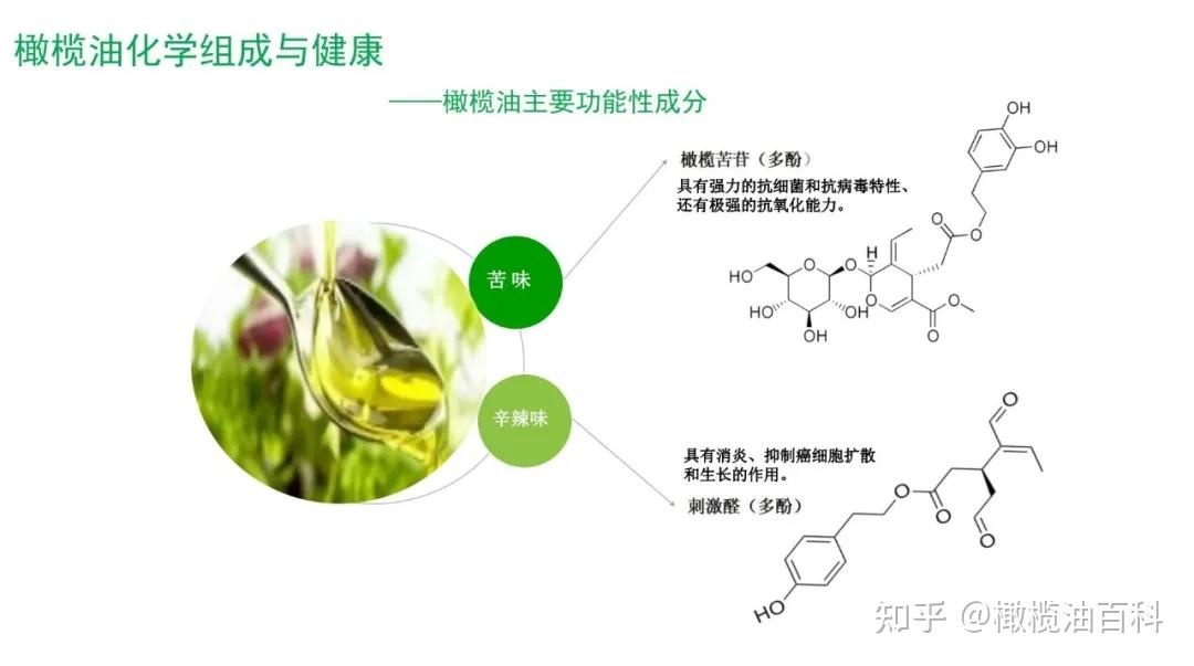 简单易懂!橄榄油中的多酚类物质到底是什么 - 知乎