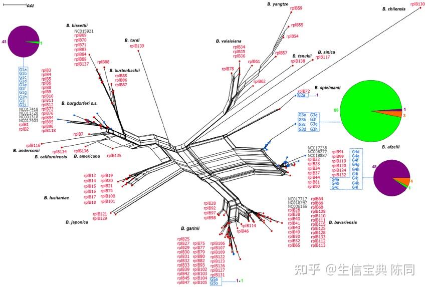 重建系统发育关系==分子数据建树? - 知乎