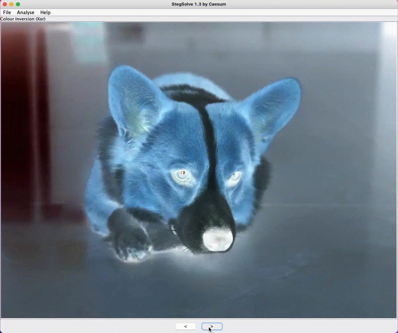 隐写术——计算机中数据隐藏的艺术 - 知乎