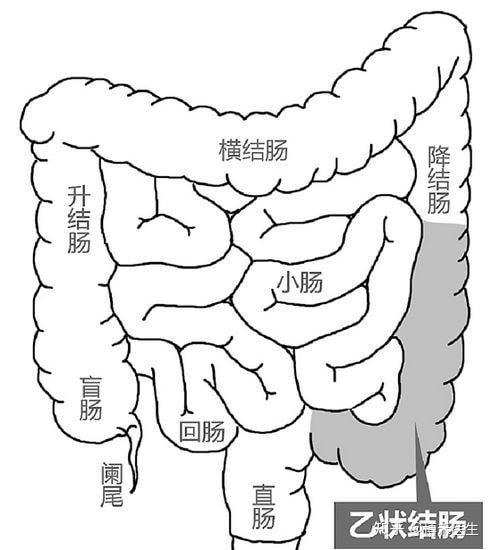 肛门的位置 男性图片