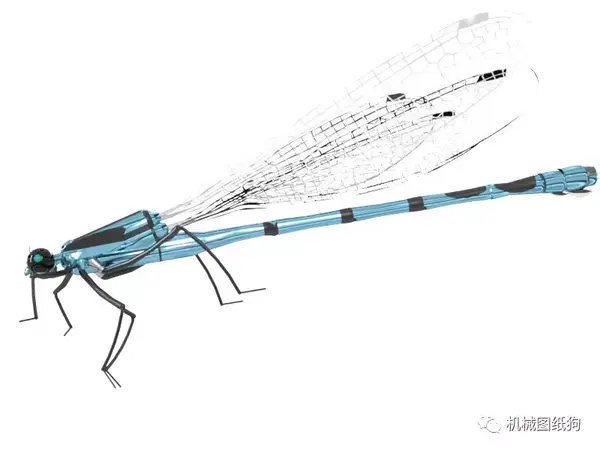生活艺术 Damselfly蜻蜓蜻蛉模型3d图纸step格式 知乎