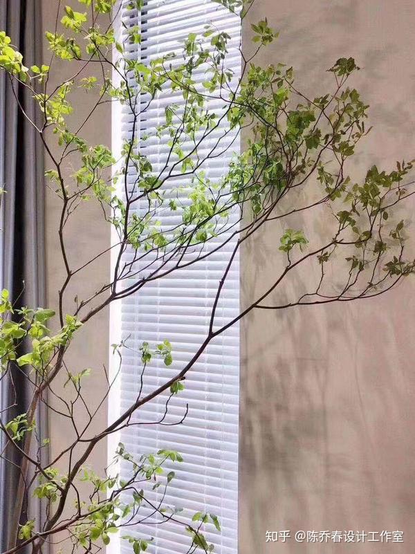 家居装修中的网红绿植日本吊钟