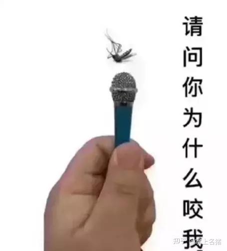 v2-2550ca25b3d98d2e1320e8297e470c76_r.jpg