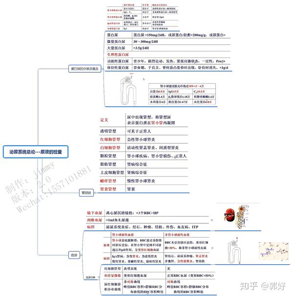 考研执业医师考试思维导图笔记内科学泌尿系统