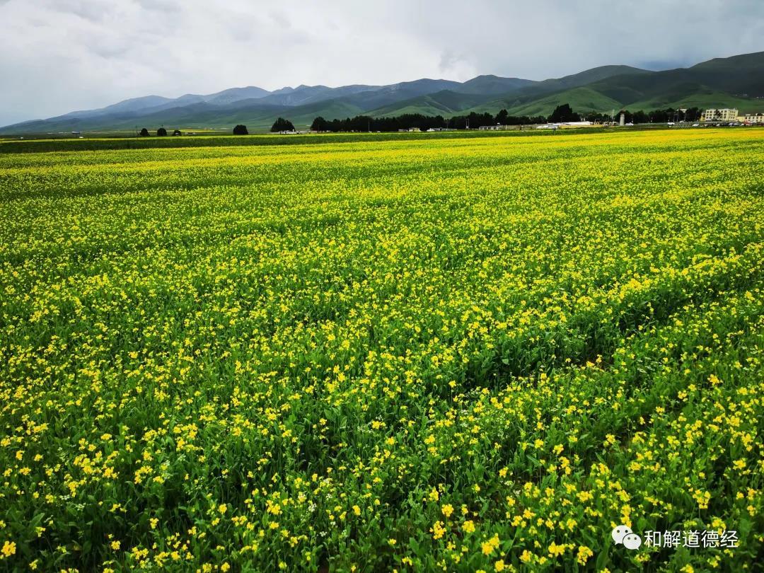 v2-256259dbf70366126cac8bbbbe572e15_1440w.jpg?source=172ae18b