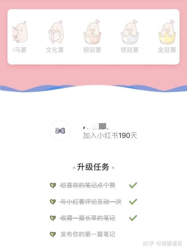 提升账号权重的粉丝运营技巧 (提升账号权重是什么意思)-初仟社区