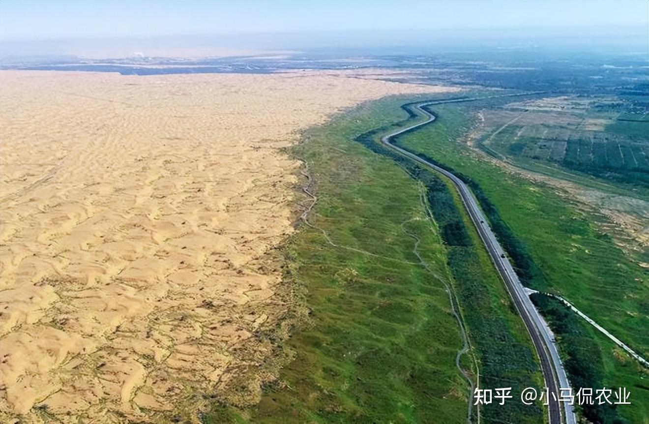 甘肃突现吞沙巨兽1天绿化48亩沙漠种草灌溉一体大国重器