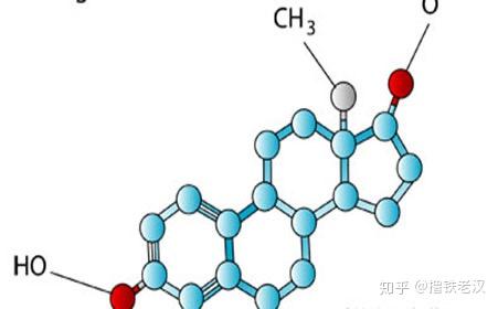 合成类固醇的主要制剂②雌性激素类制剂 - 知乎