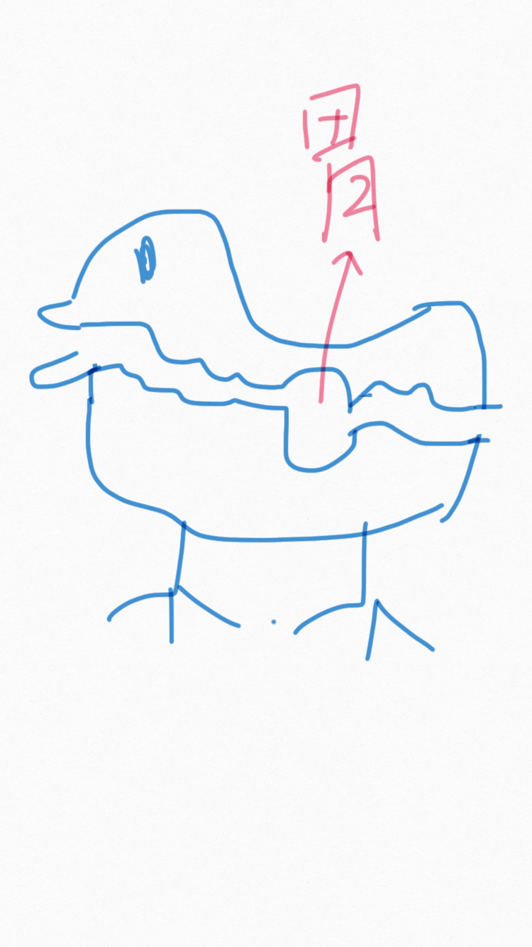 如果高维生物可以观察低维生物,为什么我们观