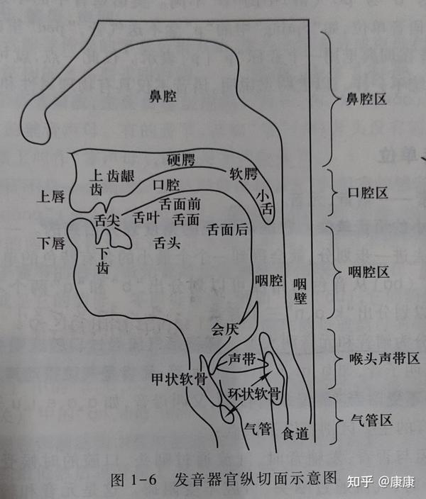 全网最全的语音概说知识点总结,必看!必看! - 知乎