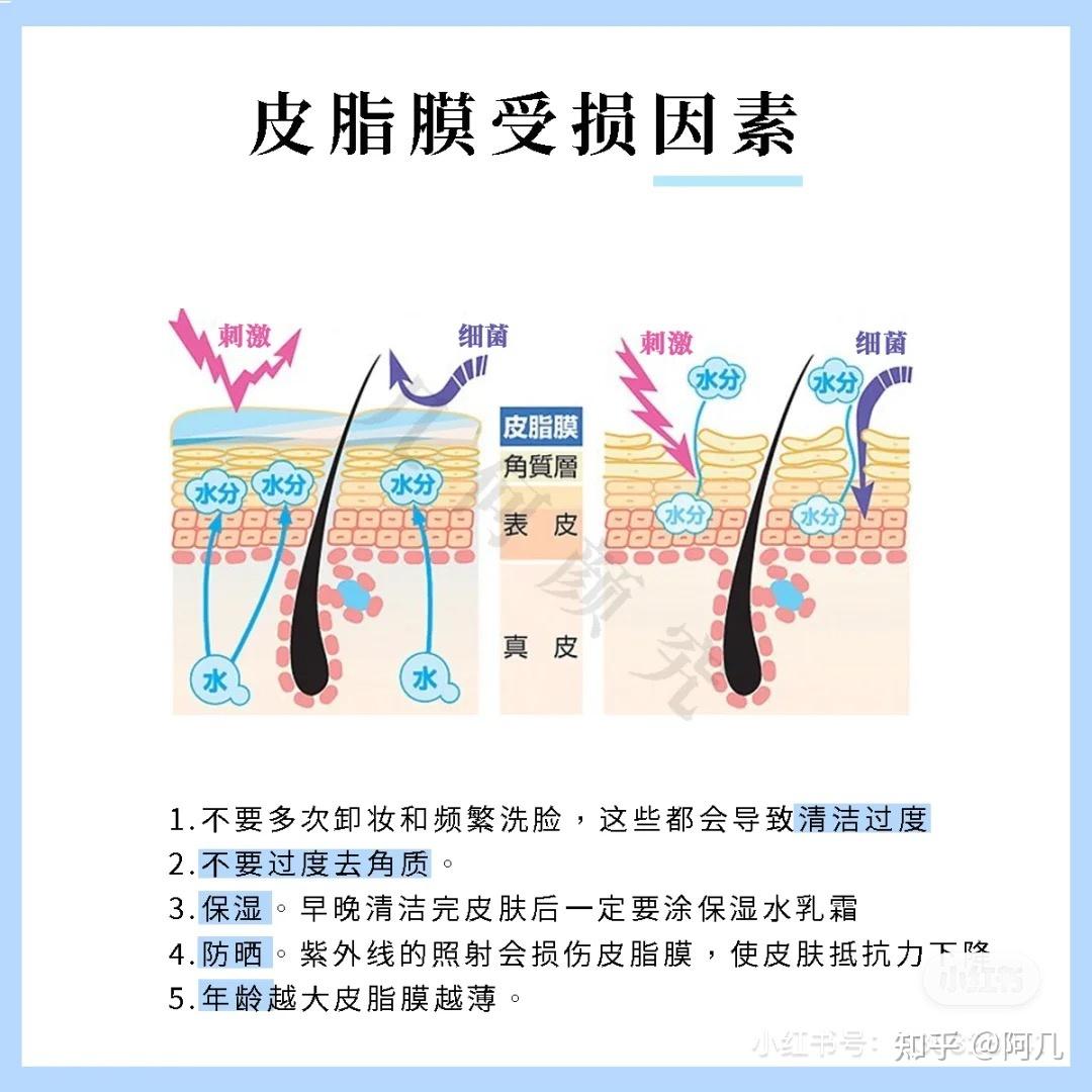 皮膚屏障受損關鍵臉上最寶貴的一層膜皮脂膜