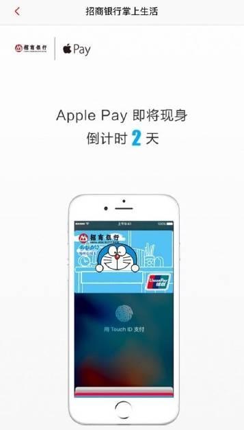 支付用不了花呗是怎么回事_支付用日语怎么说_pay支付怎么用