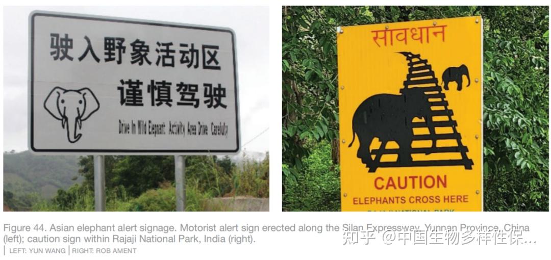 拯救亚洲象减轻道路及铁路对其影响的关键手册