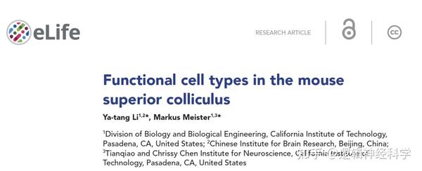 eLife︱北京脑科学与类脑研究中心李雅堂和加州理工学院Markus Meister揭示上丘神经元的功能分类及其分布规律 - 知乎