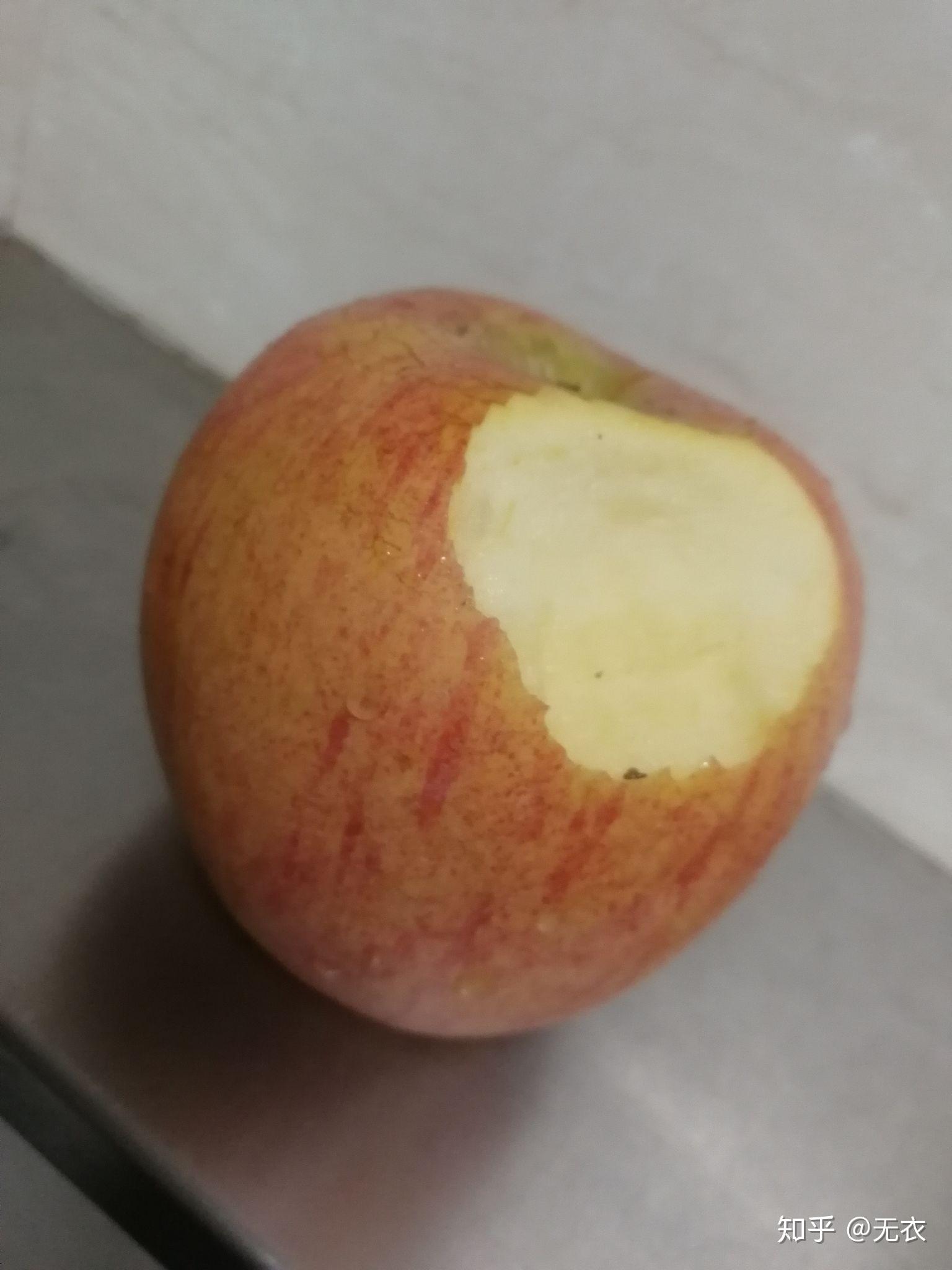 苹果最贵的是什么种类 v2-25a2692d3b8f195a519e8eadefbe88aa_r.jpg