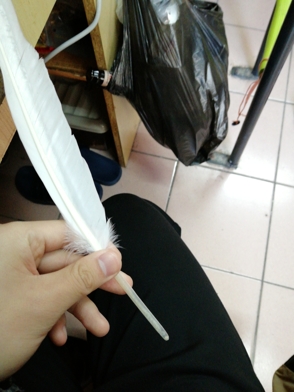 如何切削一支英文书法用的羽毛笔