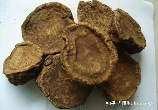 民族医药的瑰宝—羌族医药,大山深处的馈赠 - 知乎