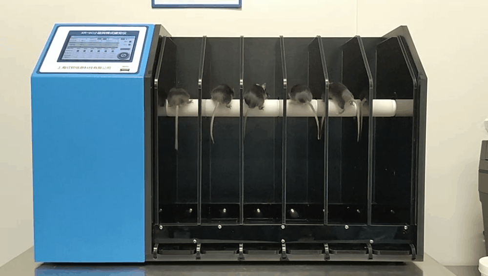 转棒｜小鼠跑步竟还能跑出渐冻症的研究数据？ - 知乎