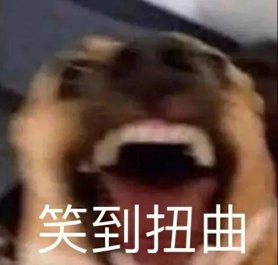 再分享一些狗狗表情包(›´ω`‹ ) - 知乎