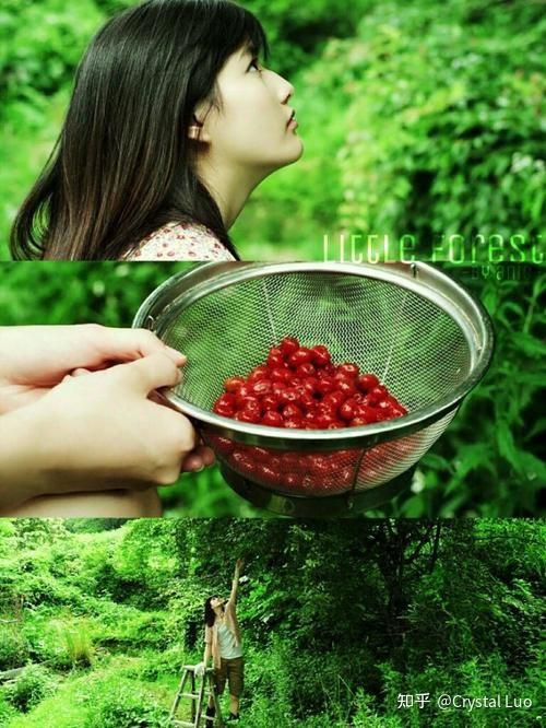 小森林的爱