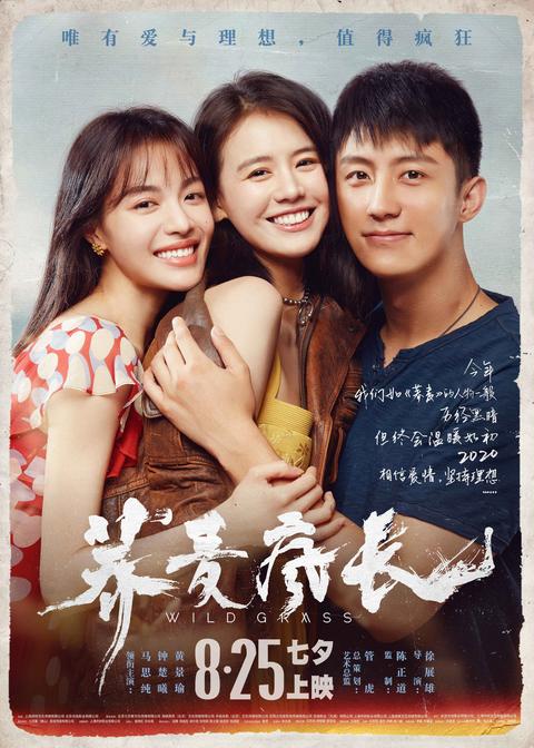 《荞麦疯长》中有哪些槽点?