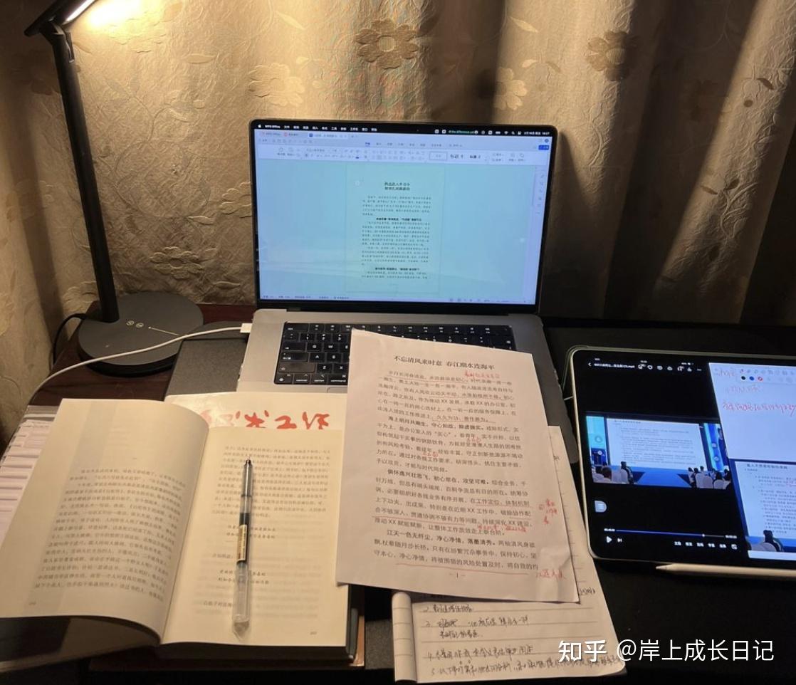 体制内笔杆子