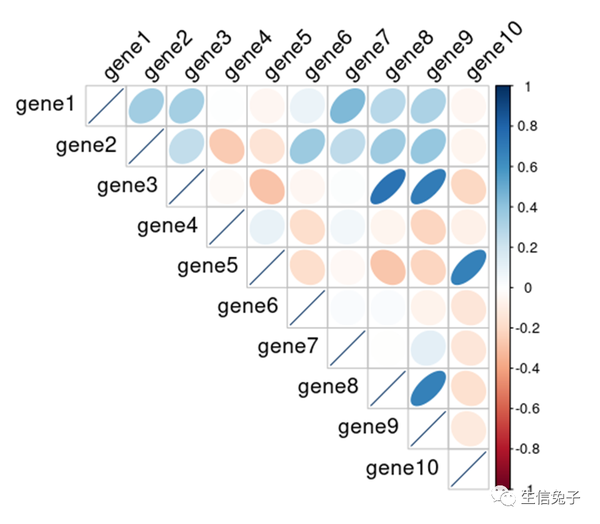 R语言进行相关性热图及相关性分析绘制 - 知乎