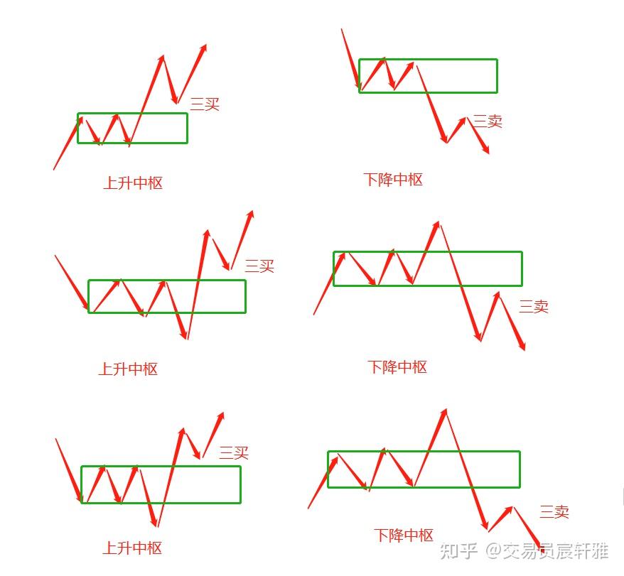 正确的中枢画法图片