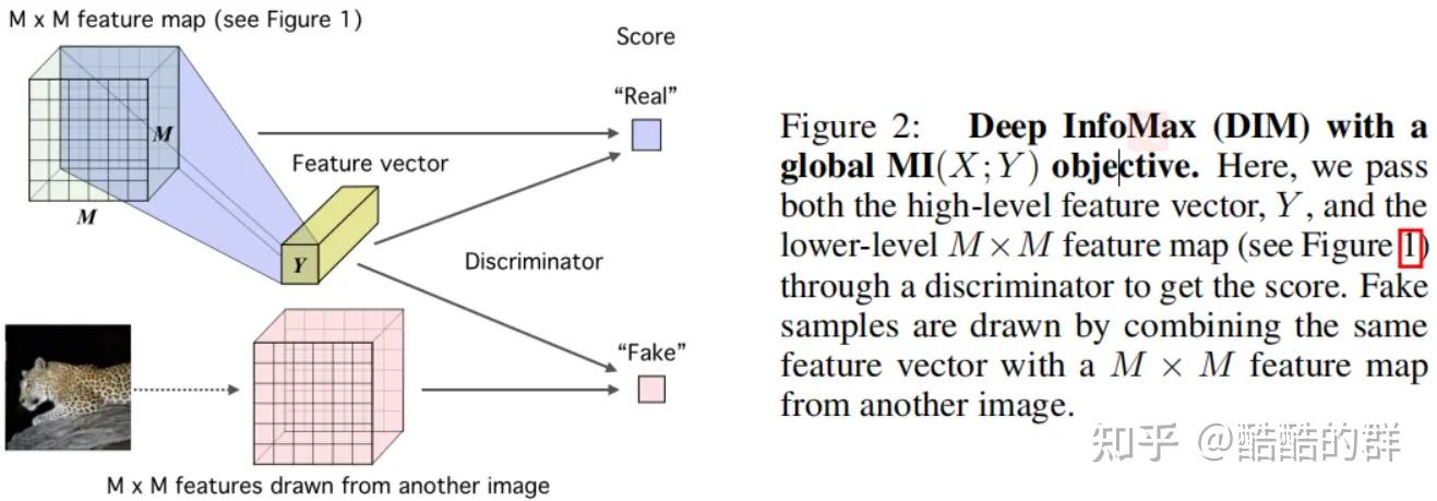 Deep InfoMax：基于互信息最大化的表示学习 - 知乎