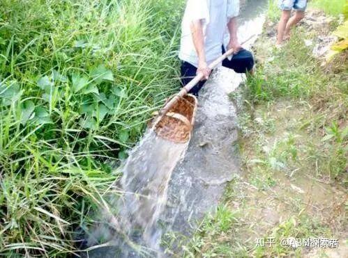 湖南新化方言本字之戽水、戽斗、戽桶 - 知乎