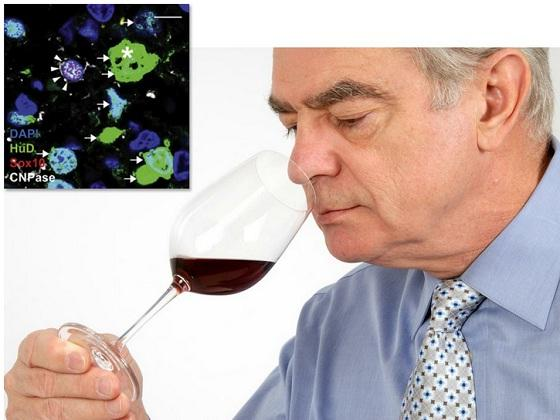 如果只保留一种感觉,如果必须牺牲一种感觉,你会怎么选择?