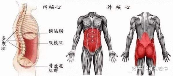 控制呼吸 给你更好的盆底肌锻炼效果 知乎