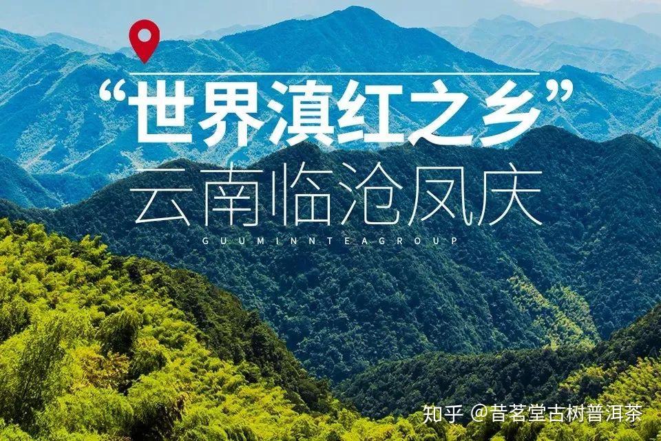 凤庆,大叶种茶的发源地,世界滇红之乡.