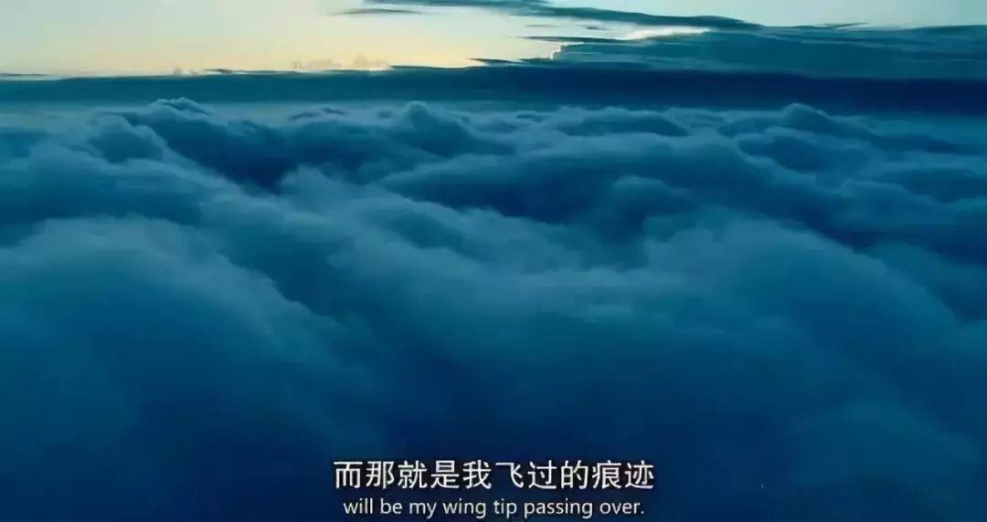 hr必看电影在云端孤独的裁员大师