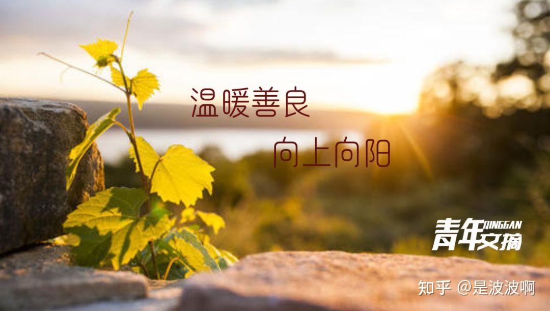 比赛获奖文案丨获奖文案发朋友圈,简短干净(原创)