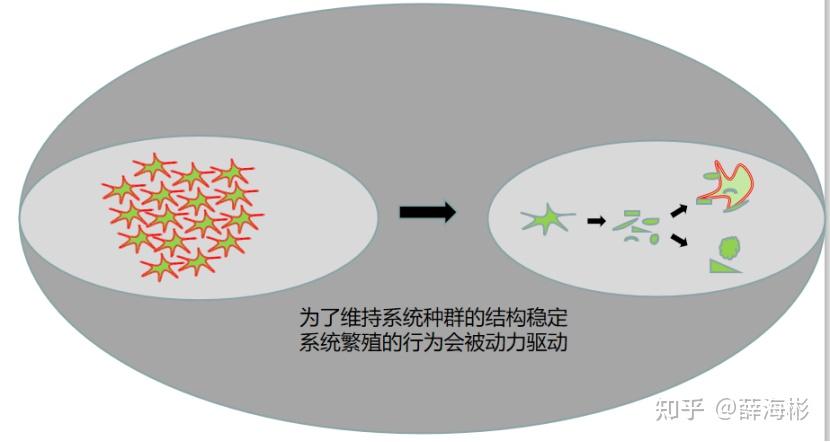 南都平衡态图片