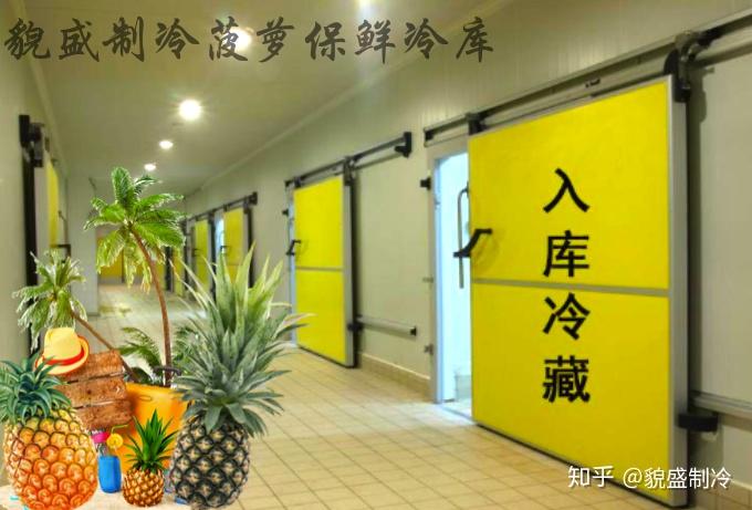 建造冷藏库和冷冻库需要投资费用 - 知乎